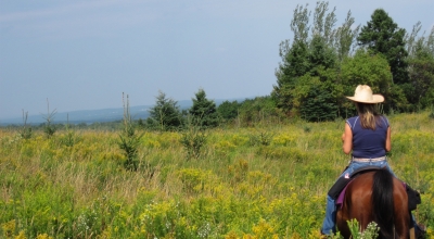 Le Québec à cheval