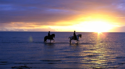 Equestrian trail ride in Brazil