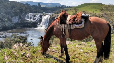 Brazil equestrian holiday