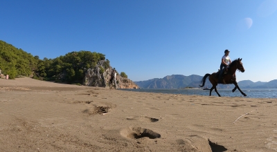 Galop à cheval sur le sable de la plage à Iztuzu en Turquie Galop à cheval sur le sable de la plage à Iztuzu en Turquie