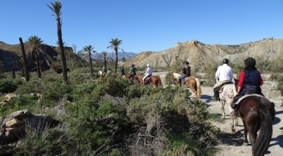 voyage cheval Andalousie