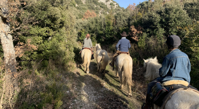 horseback trail ride in provence