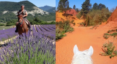 horseback riding in provence