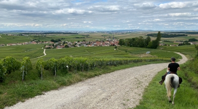 horse riding in France