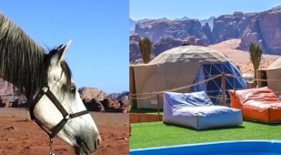 equestrian trip in jordan