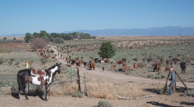 sejour ranch a cheval usa