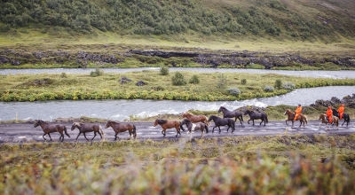 iceland horse riding holiday