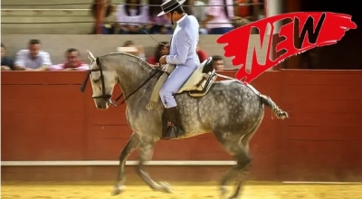 stage equestre portugal