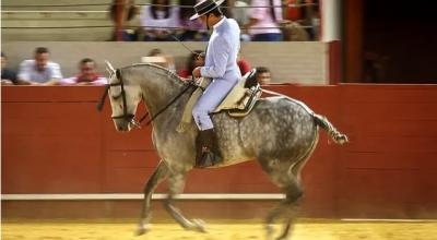 stage equestre portugal