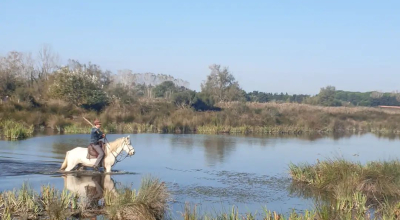 horse riding in camargue
