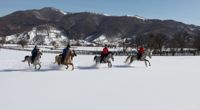 horse riding vacation croatia