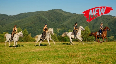 horse riding vacation croatia