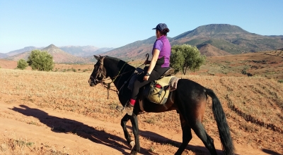 maroc a cheval