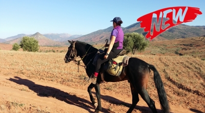 rando a cheval maroc
