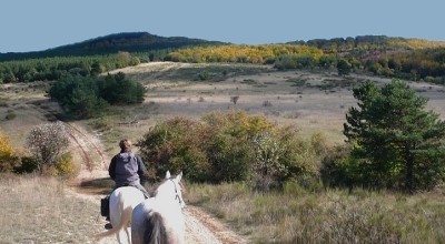 autumn Provence horse transhumance