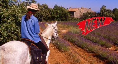 rando a cheval haute provence
