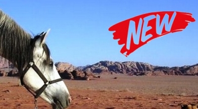 horseback riding trail ride in jordan