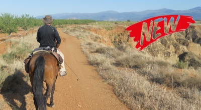 horseback riding trip in andalusia