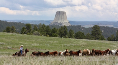 vacances ranch cheval Wyoming