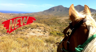 week horse riding in Andalusia