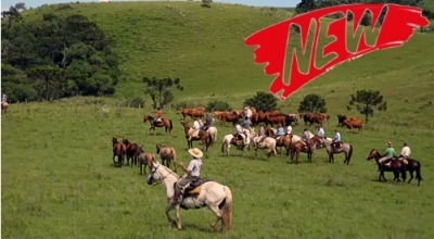 Horse riding in Brazil