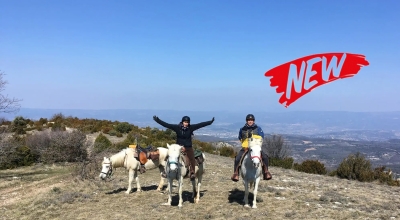 horseback holiday in provence