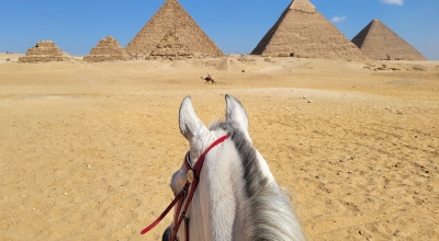 horseback trail ride in Egypt
