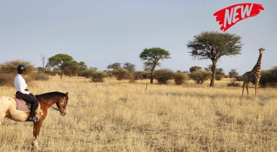 African explorer safari