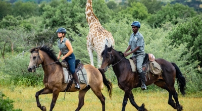 African explorer safari