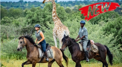 African explorer safari