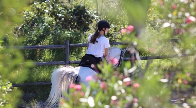 stage dressage portugais
