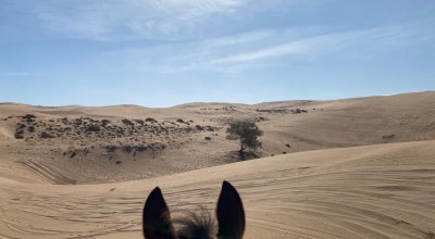 horse riding holiday in Spain