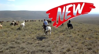 voyage a cheval usa