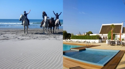 horse riding trip provence camargue