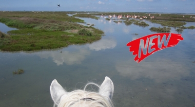 multi day horse riding in Provence