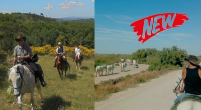 discover the provence on horseback