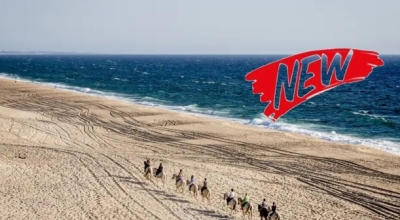 horse riding trail ride in portugal