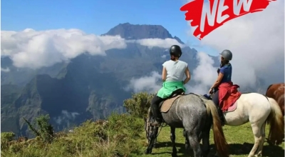 Reunion : Discover the Reunion island on horseback