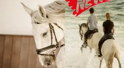 equestrian holidays in Portugal