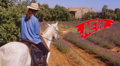provence riding holiday