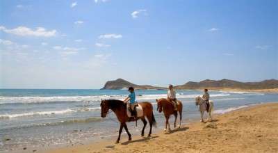 horseback trail ride in Andalucia