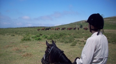 horse riding portugal