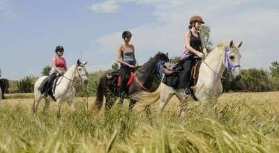 horse riding in spain