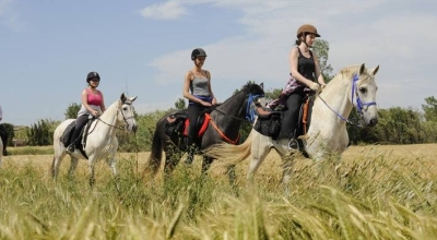 horse riding in spain