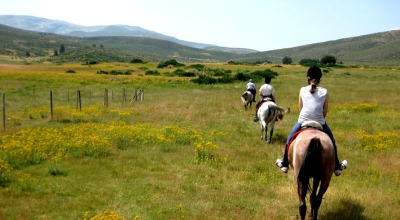 horse riding holiday spain