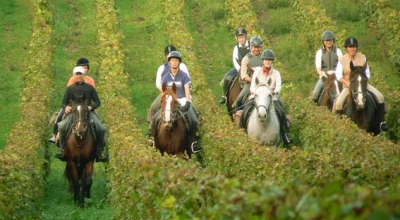 horseback trail ride bordeaux