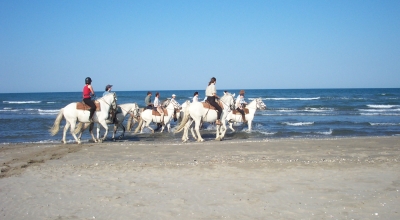 horseback riding in camargue