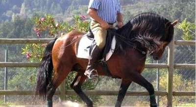 horse riding in Portugal