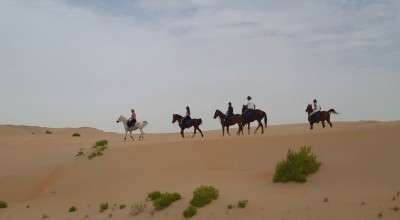 Trail ride in desert in United Arab Emirates