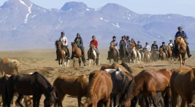 randonnee a cheval islande